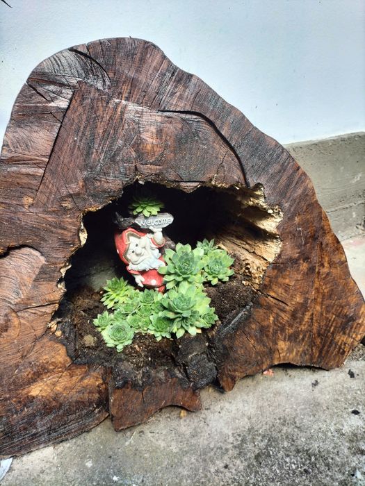 Ornament pentru curte