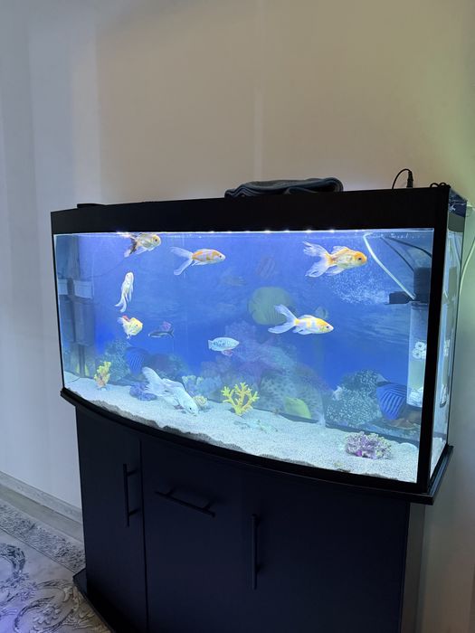 Akvarium 200litr