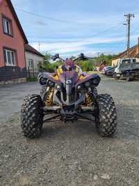 Can am renegade 800R