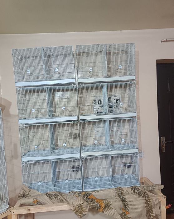 Parofka qafaslar sotiladi kanareyka uchun juda zur