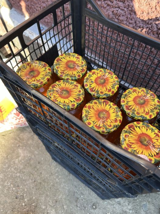 Miere poliflora de vanzare