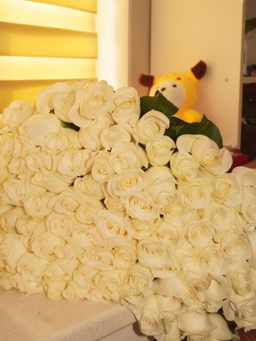 Роза, Розы, цветы, букет, букет цветов, 101 роза