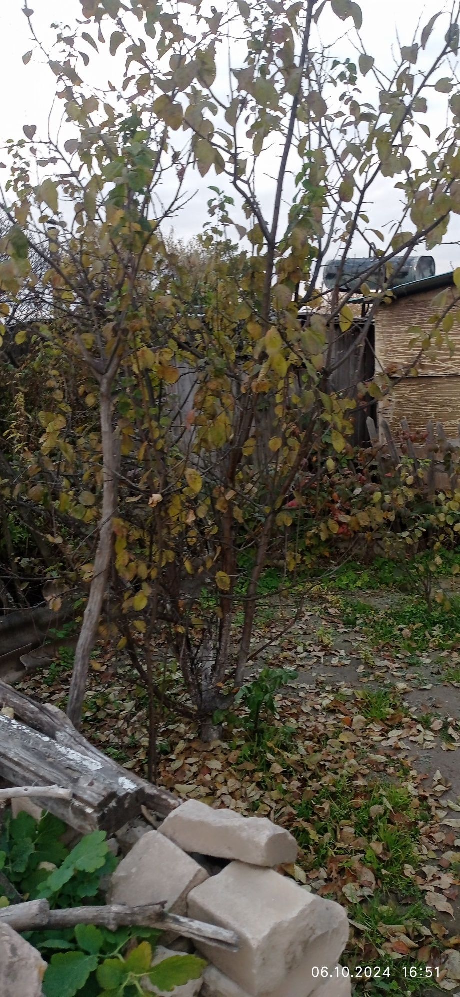 Продам отличную дачу!