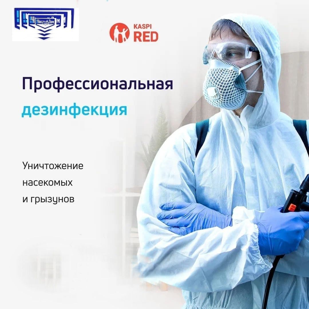 Дезинфекция клопов тараканов/Результат