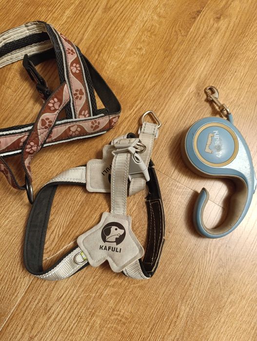 Продам 2 шлейки и  поводок для собаки,недорого