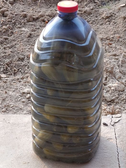 Bodiring bakalshgada