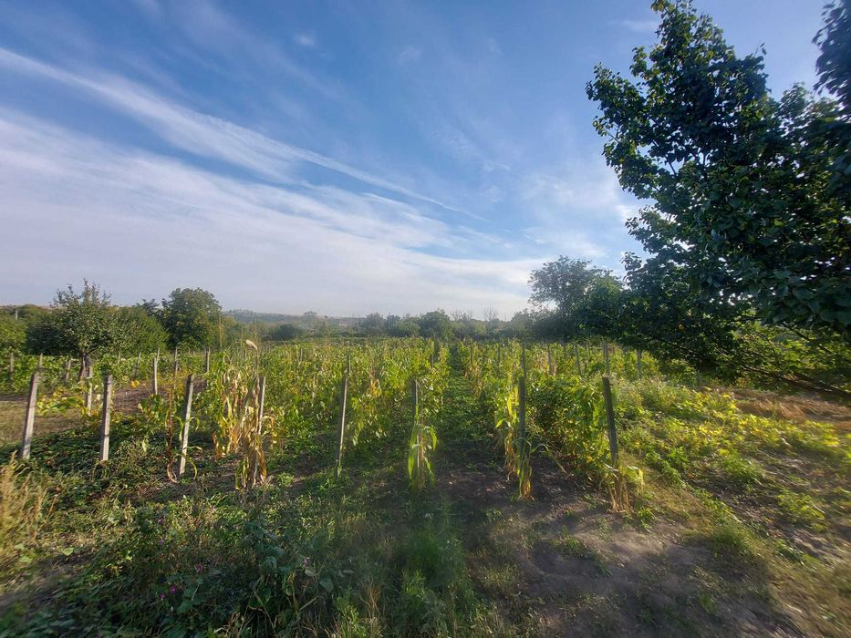 Casa [139mp] + Teren (2190mp) - Voinesti, jud. Iasi [centru]
