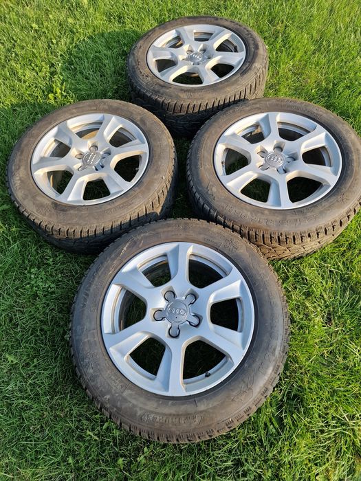 Vad jante cu anvelope de iarna 225,55,16