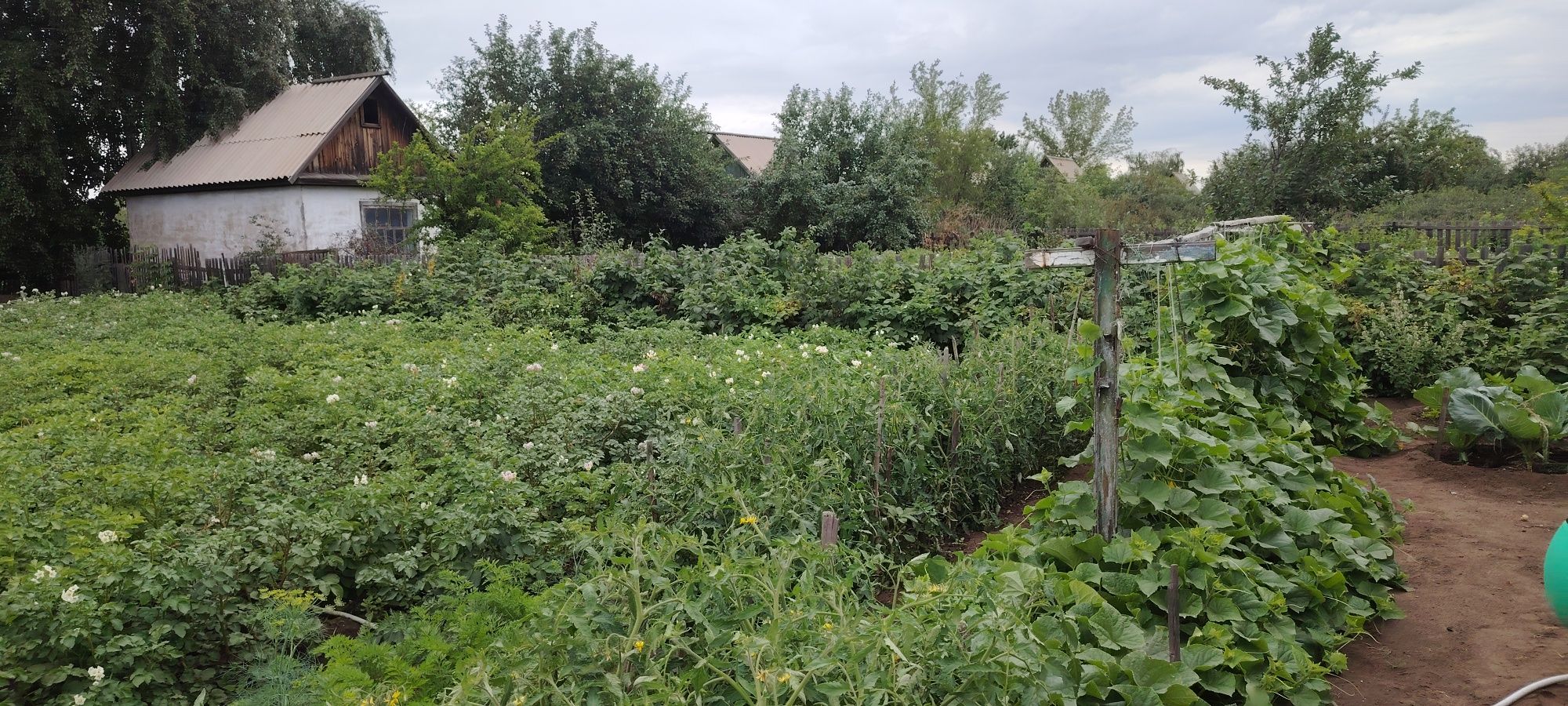 Продам дачу садовоства яблоневая