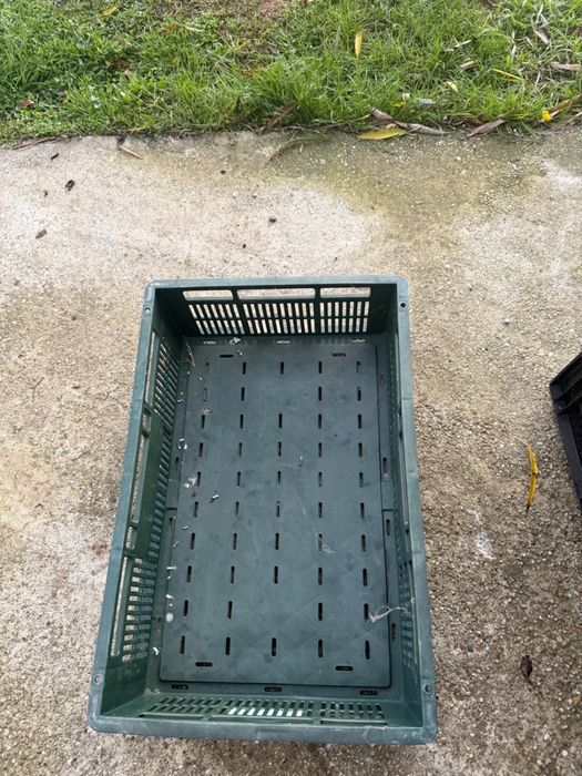 Lazi plastic de vanzare pentru transport fructe legume diverse