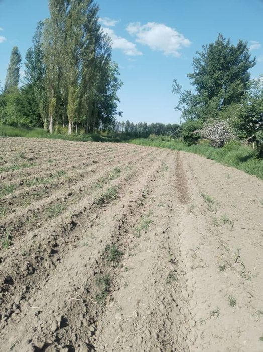 Srochna quruq yer sotiladi