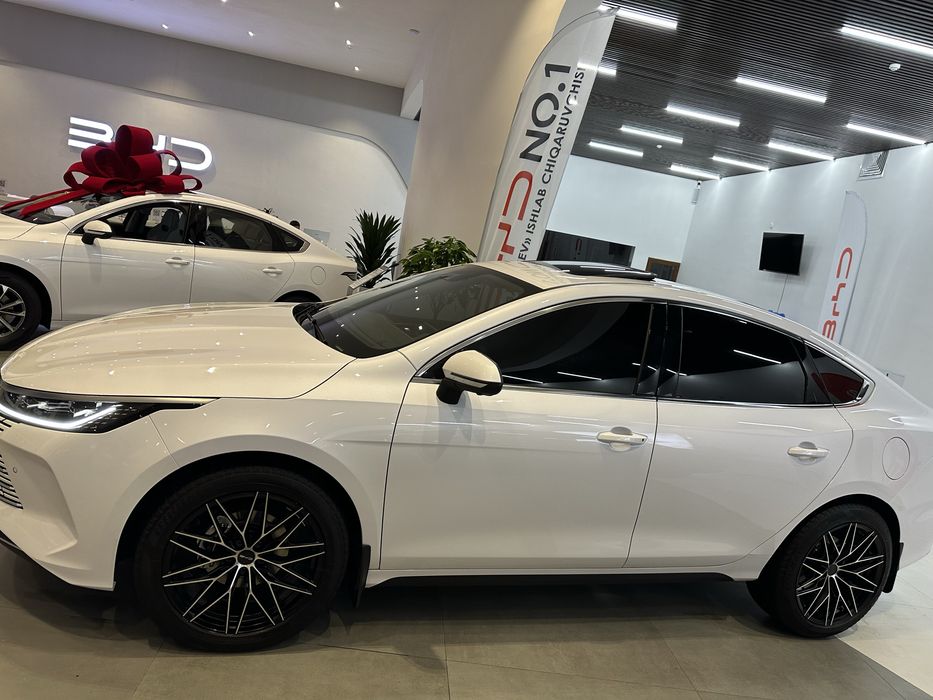 BYD Chazor 120 km Flagship