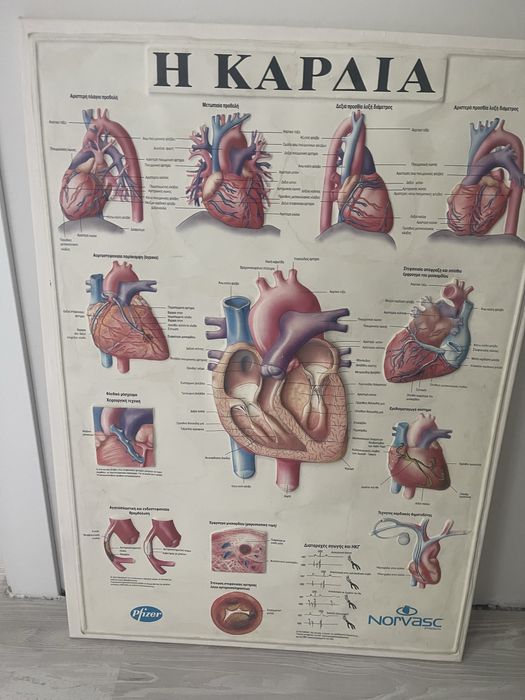 Принтове на Васил Ангелов с рамки