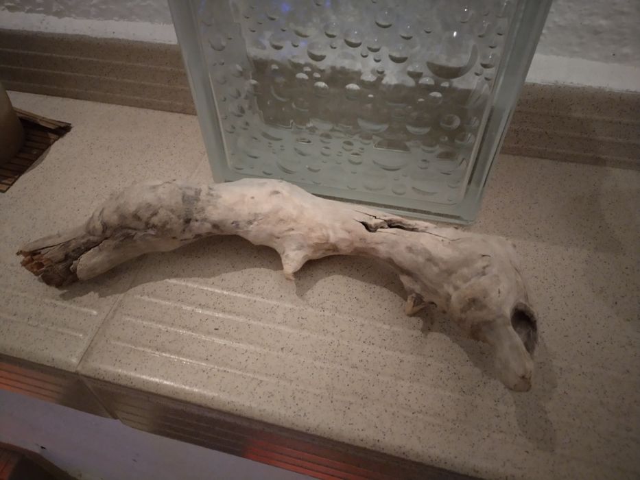 Сух корен за терариум от Малта