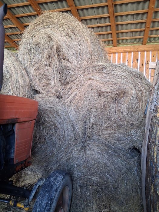 Vând 30 de baloți fân