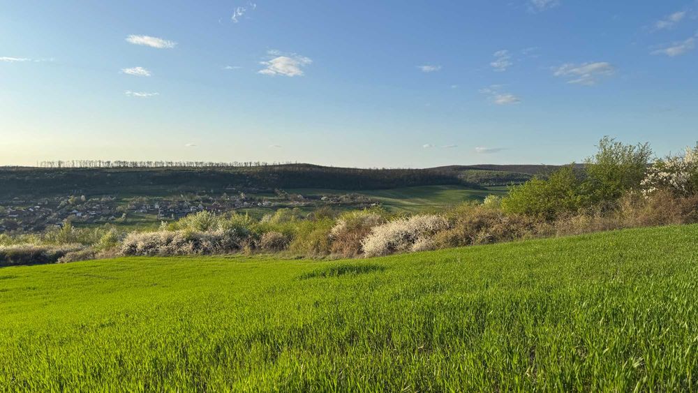 Teren de vânzare în Stanciova, județul Timiș – poziție panoramică