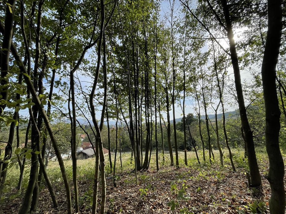 Vand teren inravilan