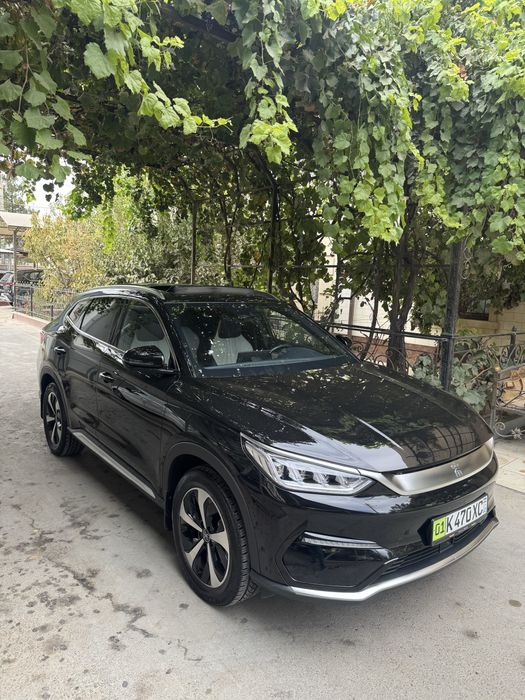 Byd Song pulus Flekship 505 Tali