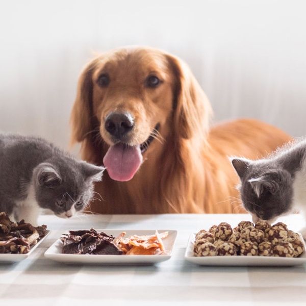 Натуральная еда для ваших питомцев!