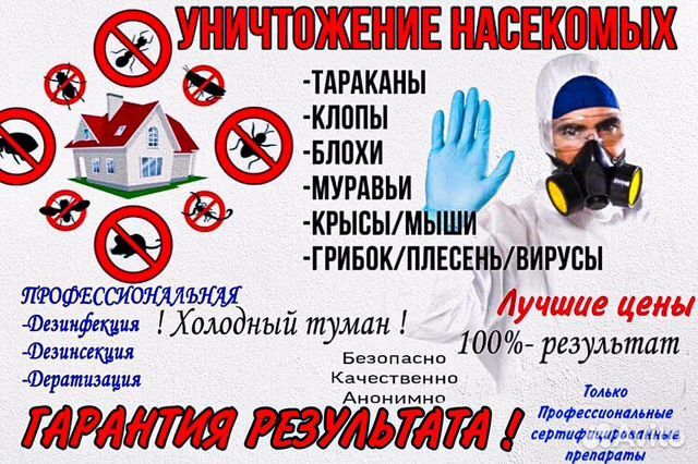 Дезинфекция дезинсекция дератизация