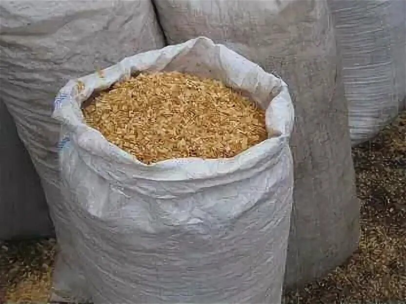 Продам опилки древесные