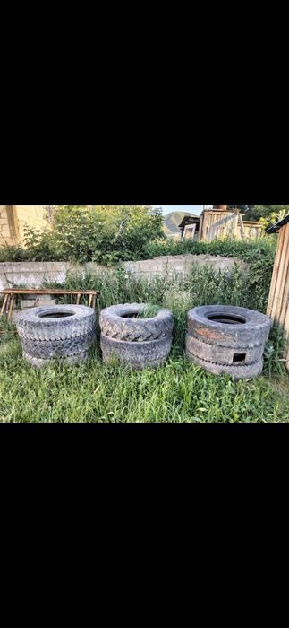 Отдам шину все за 10.000