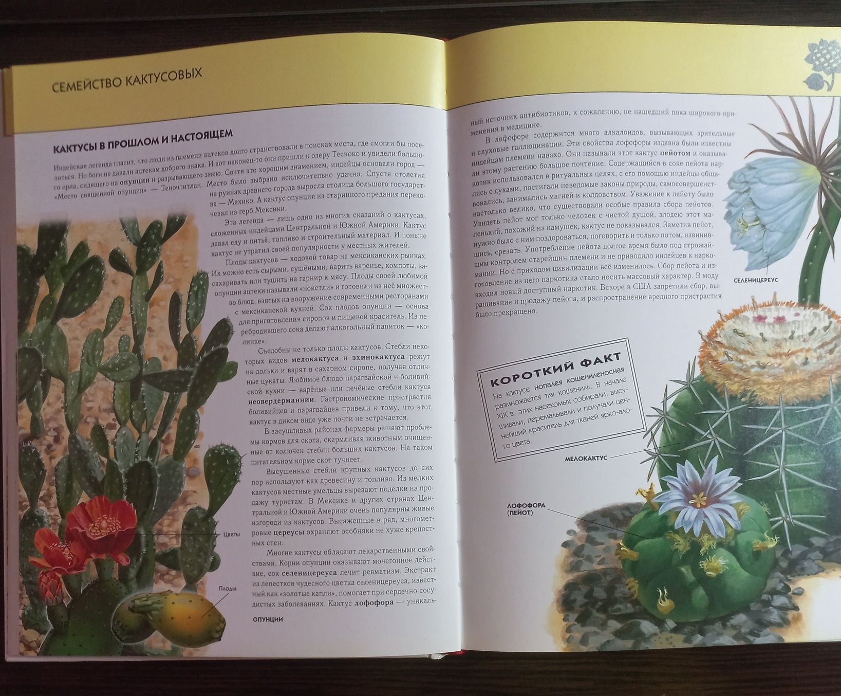 Книга про растения,ботаника
