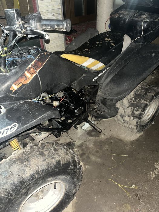Vind atv 125cc bashan