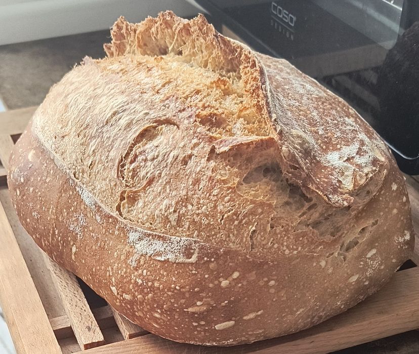3 x Maia sălbatică pentru pâine Italia 2020, și pasta madre, rețetă