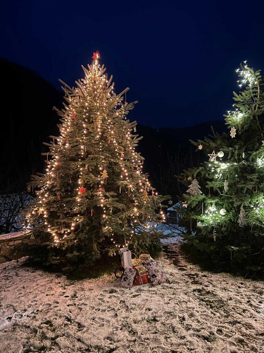 Cabana  cu ciubar  libera revelion