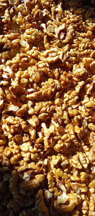 Орехи ядка , Био супер храна , Еко производство.