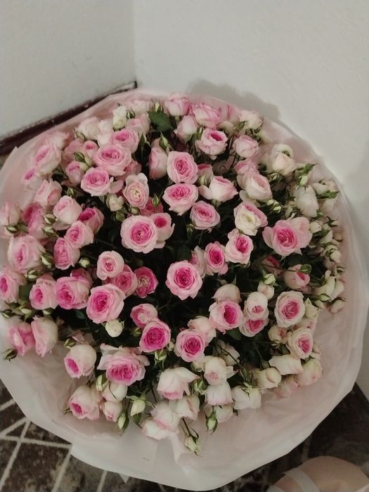 Гүл сатылады арзан