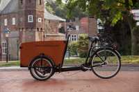 Tricicletă BABBOE Big (transport 2-4 copii)