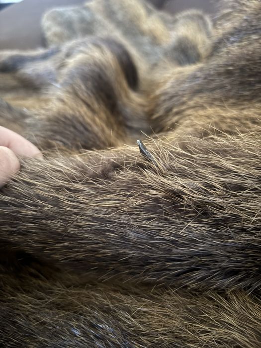 Haina de blana naturala fara nici un defect