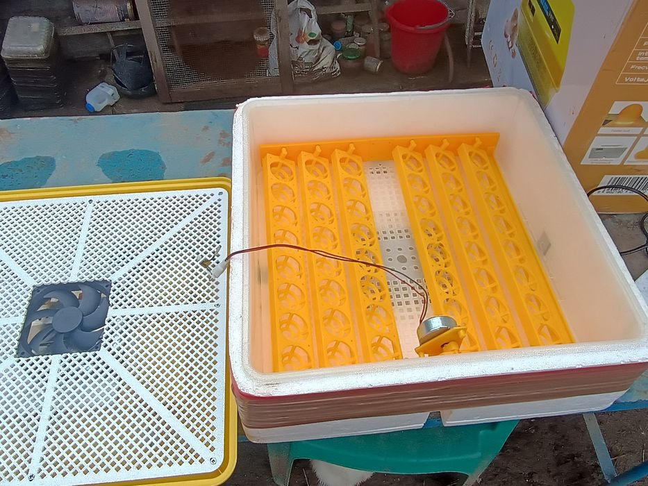 Incubator automat 48 oua 12v