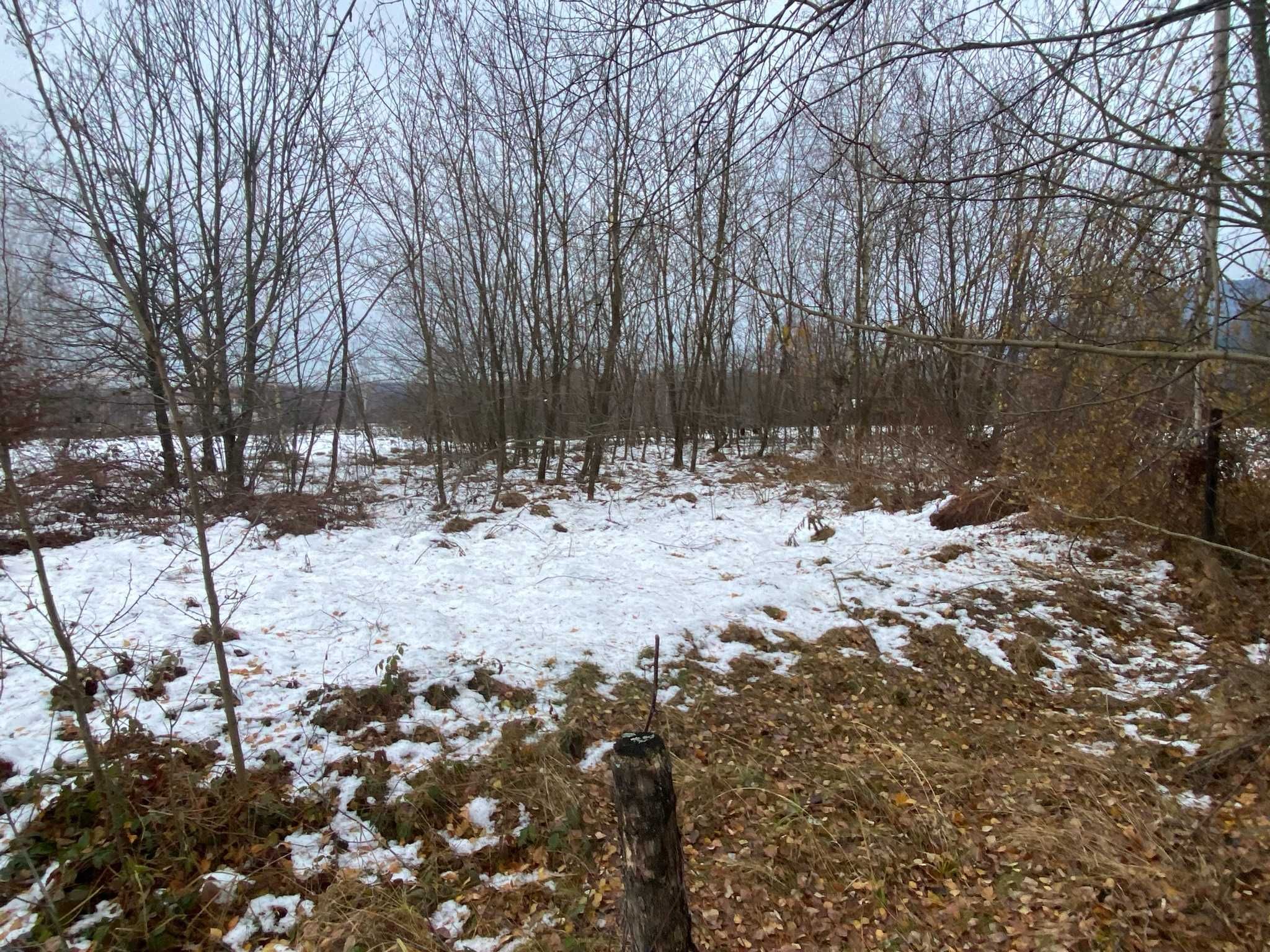 Vanzare teren intravilan 800mp Vistisoara (jud. Brasov)