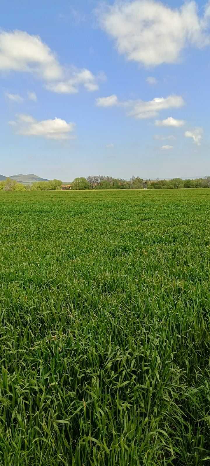 Топ Имот за инвестиция!!! Парцел на море