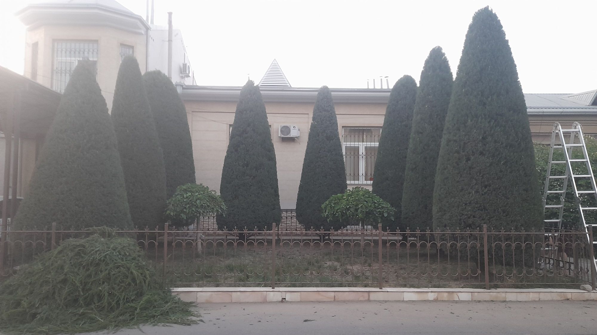 Archa kesish va Dorilash Mutaxassis.