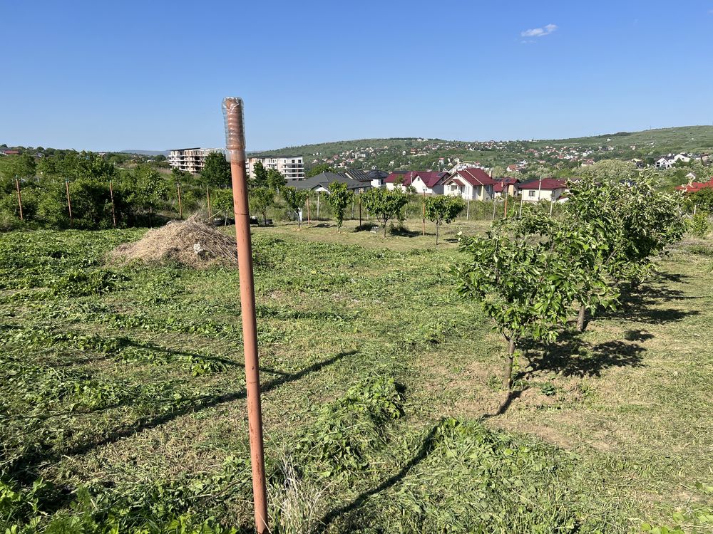 Teren intravilan , zona Bucium