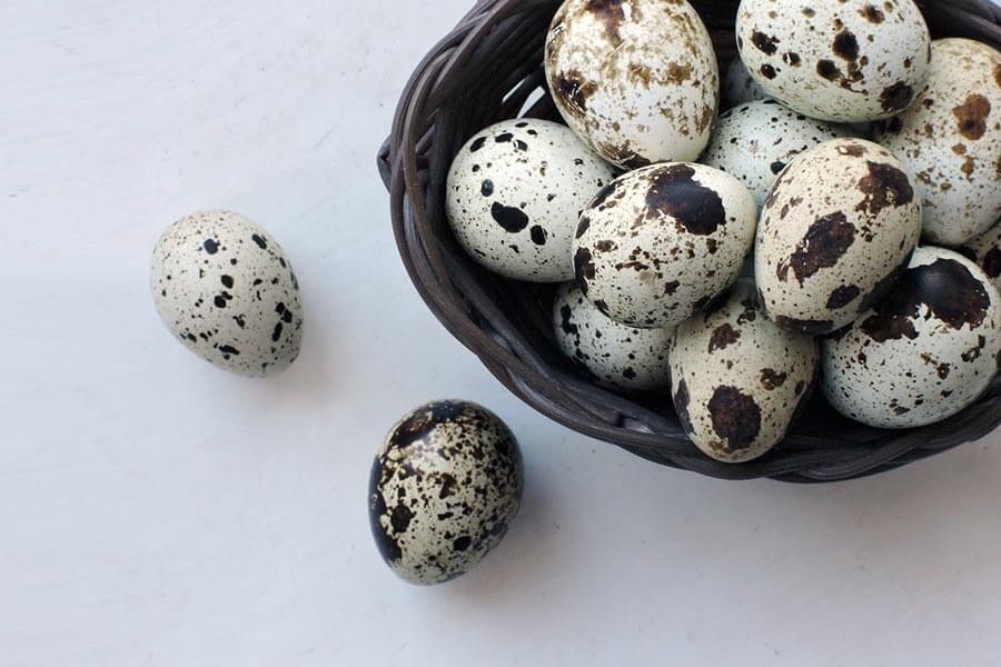 Бедана тухум оптом