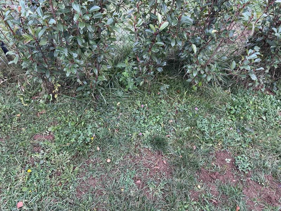 Отдавам къща под наем, Софийска област