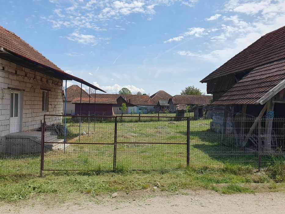 Vând casă cu grădină