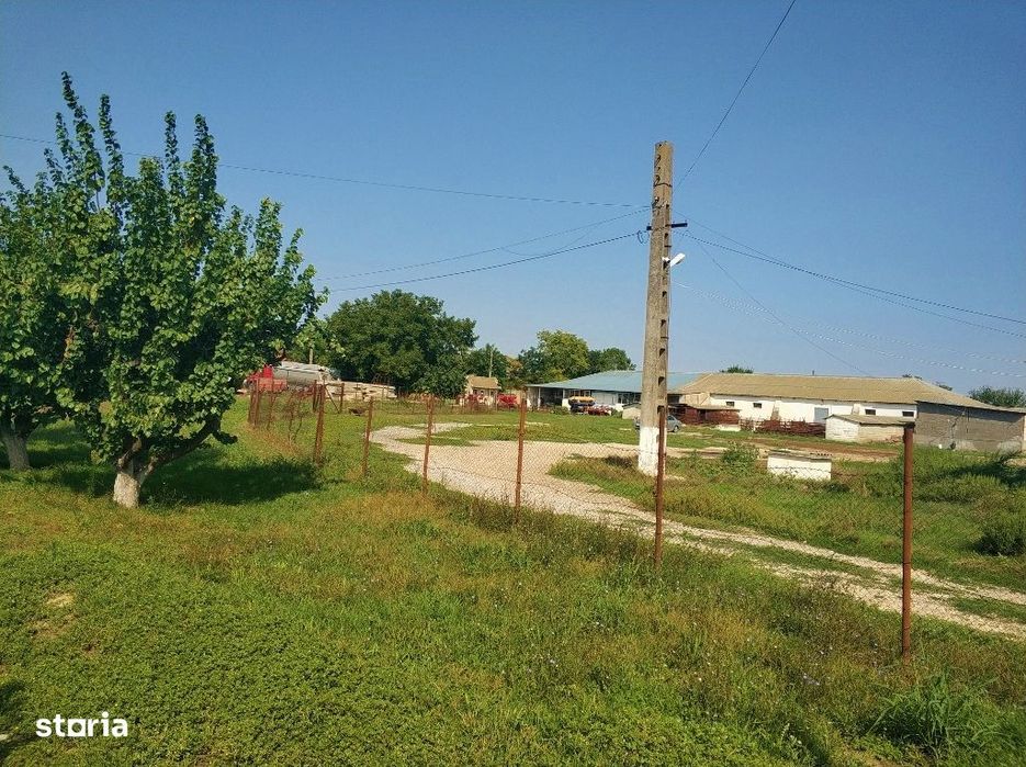 Ferma cu hale 3000 mp si teren 12000 mp, 30 km de Constanta