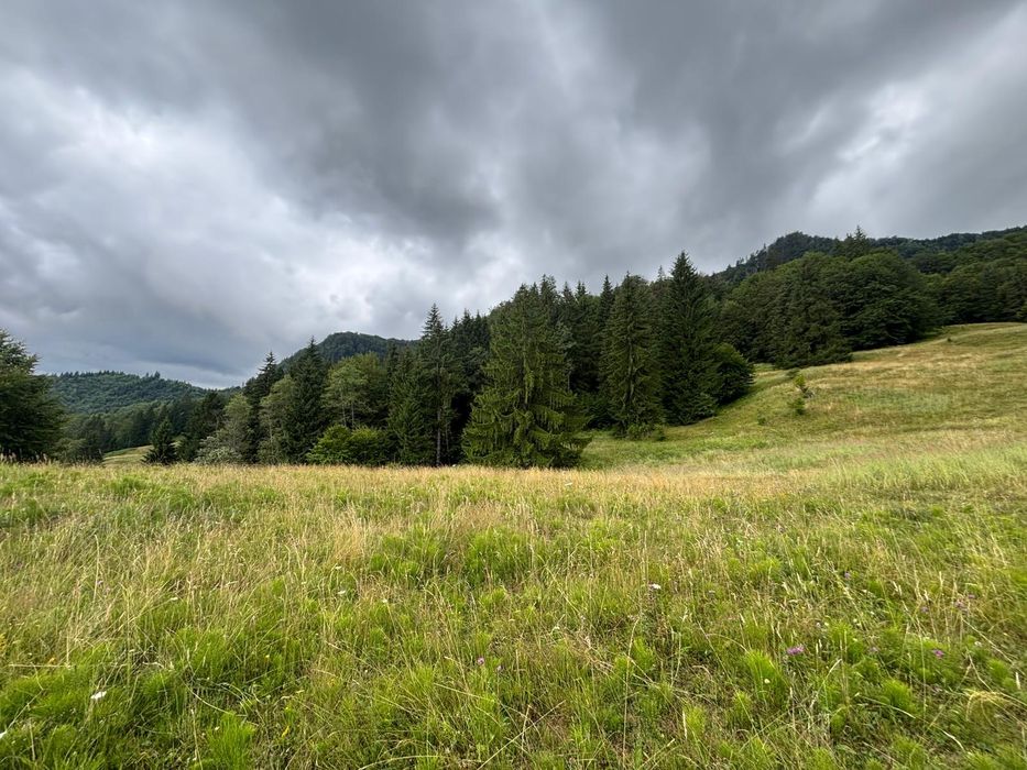 Teren extravilan în loc. Siriu