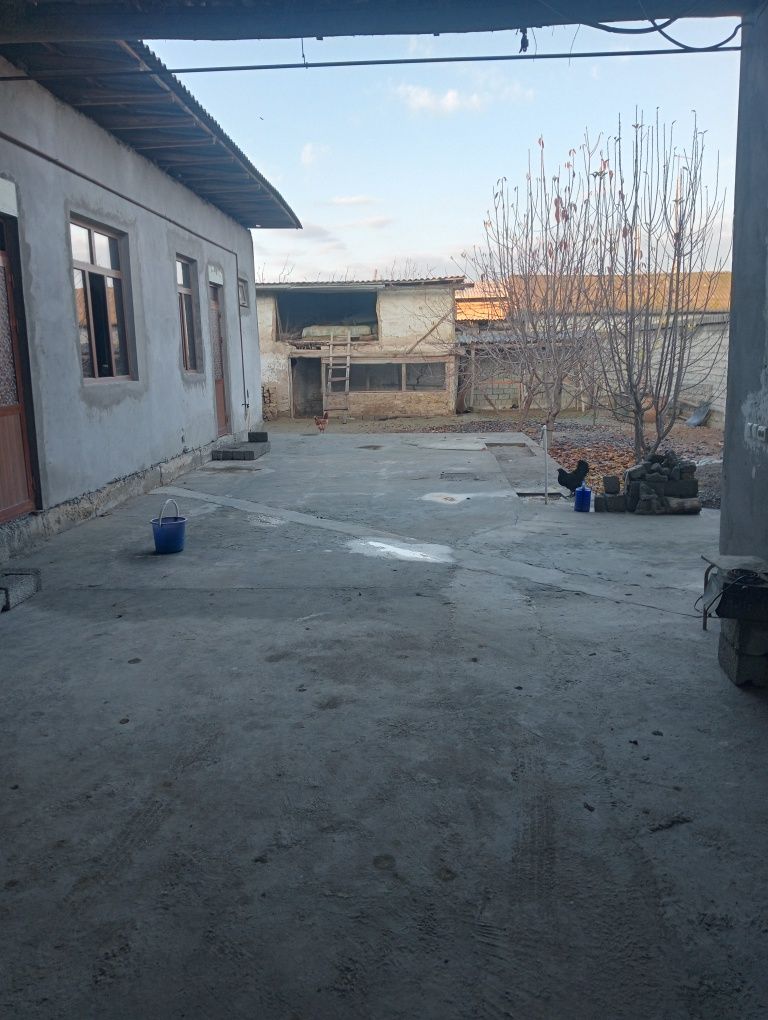 Saidov tolibjon 975487