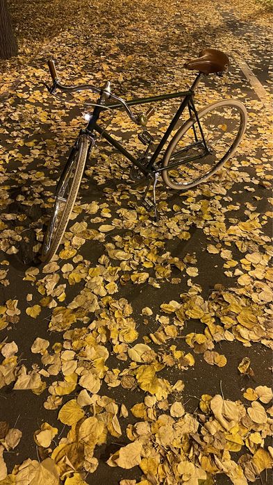Bicicleta Olandeza