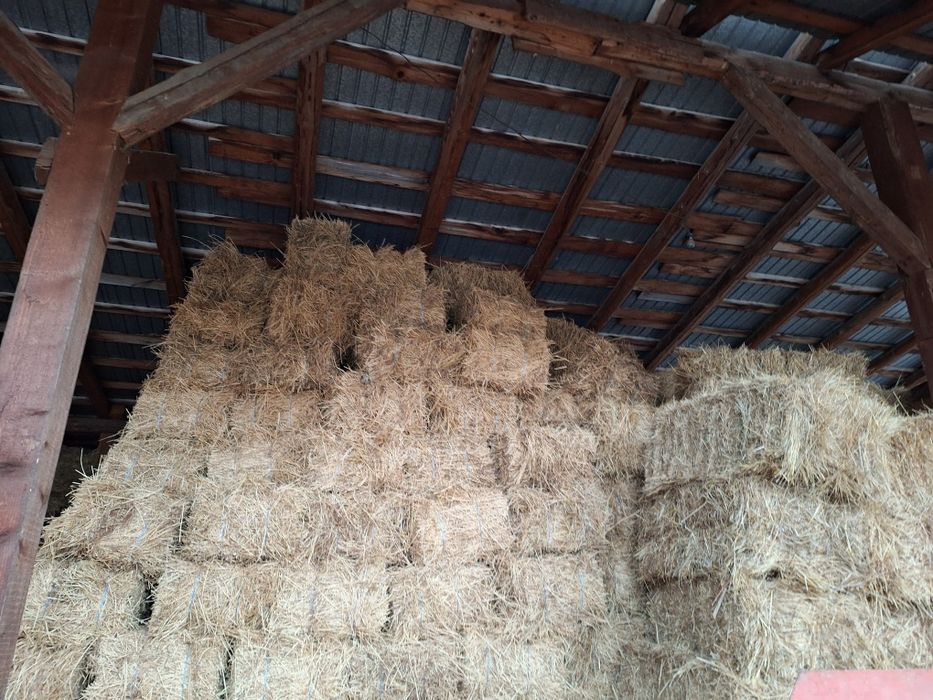 Vand baloti de lucerna