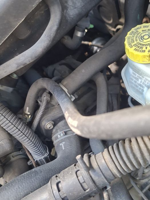Volkswagen Polo 1.4