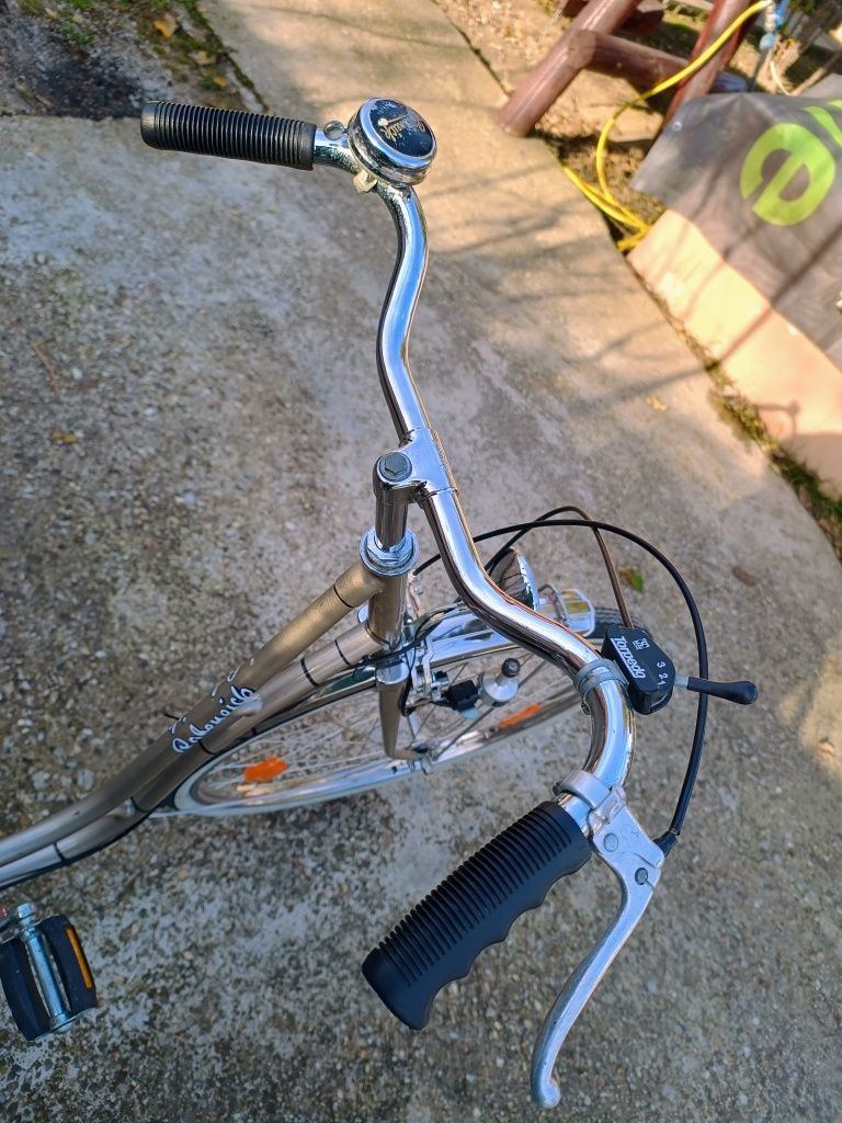 Bicicleta Rabeneick INOX 28"