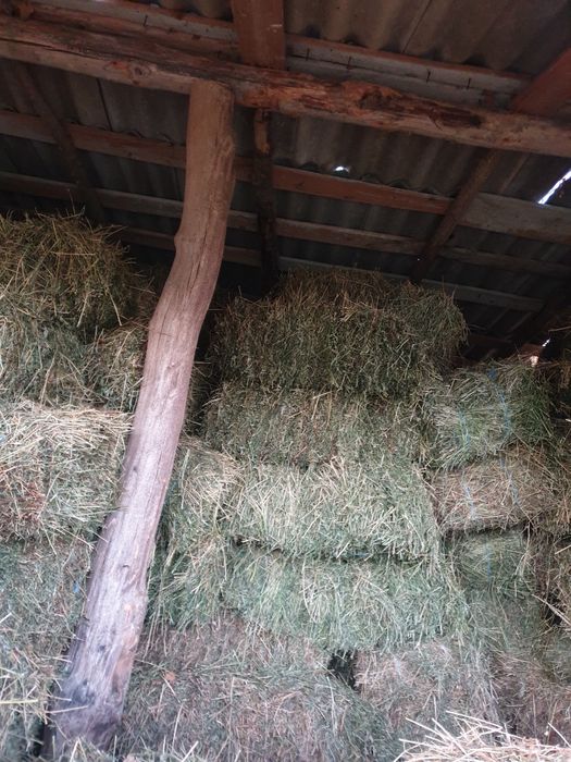 Dau baloti  coasa a doua și a 3